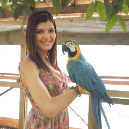 Amazon Rainforest Lodge Padre Cocha Luaran gambar