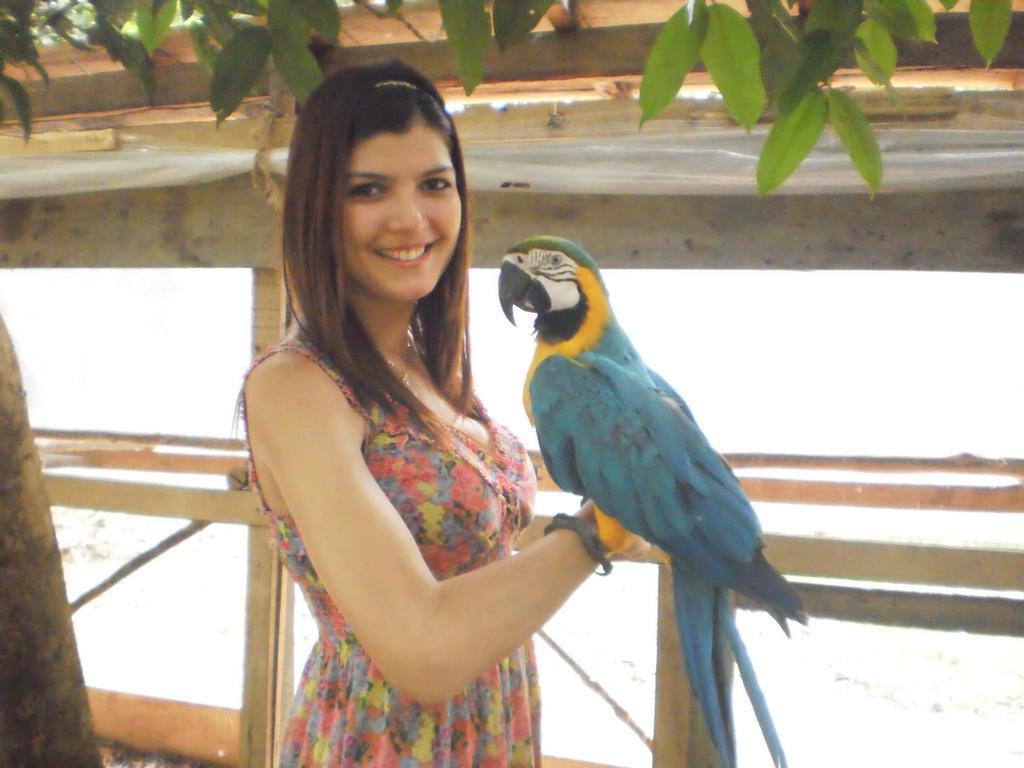Amazon Rainforest Lodge Padre Cocha Luaran gambar